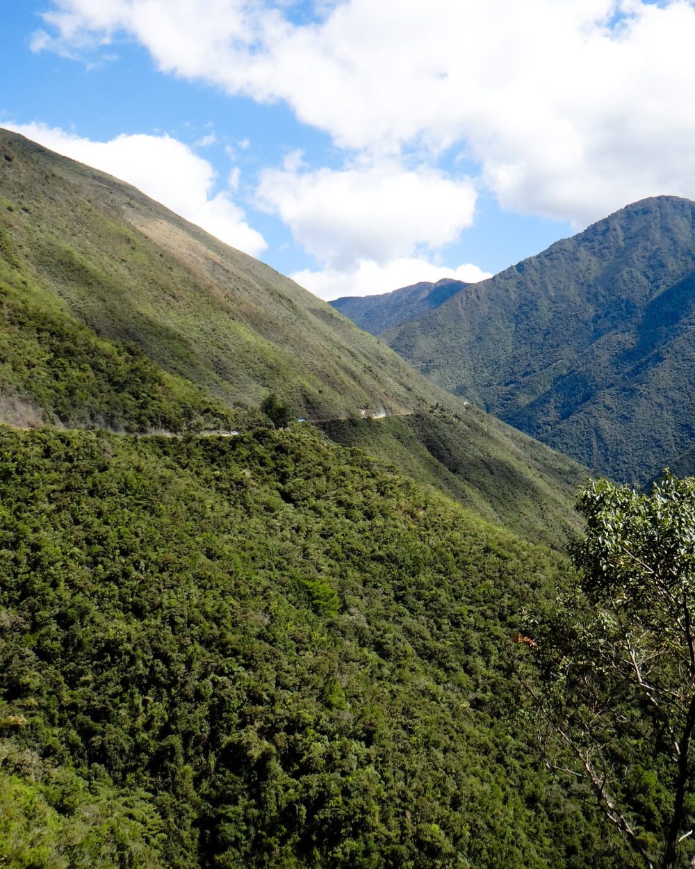 La Route de la Mort traversant les versants verdoyants des Yungas sous un ciel nuageux, Bolivie