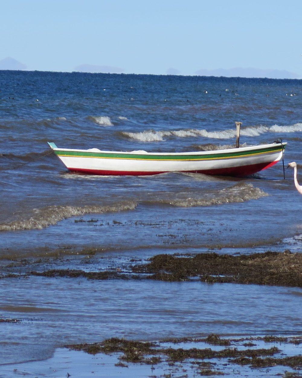 Barque traditionnelle et flamant rose sur la rive du lac Titicaca à Santiago de Okola