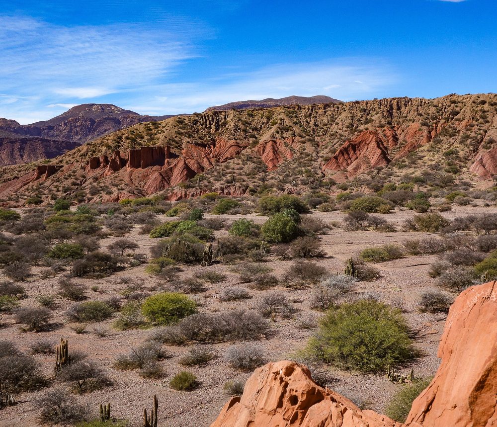 Paysages Tupiza Bolivie